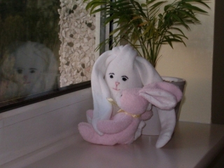 bunnys first night home